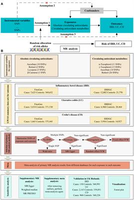 Diet-derived circulating antioxidants and risk of inflammatory bowel disease: a Mendelian randomization study and meta-analysis